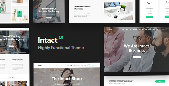 Intact Preview Wordpress Theme - Rating, Reviews, Preview, Demo & Download