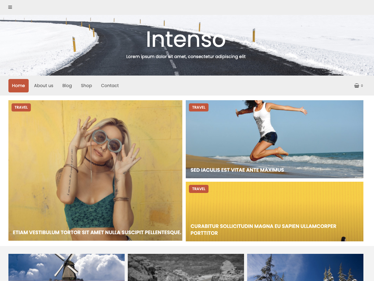 Intenso Preview Wordpress Theme - Rating, Reviews, Preview, Demo & Download