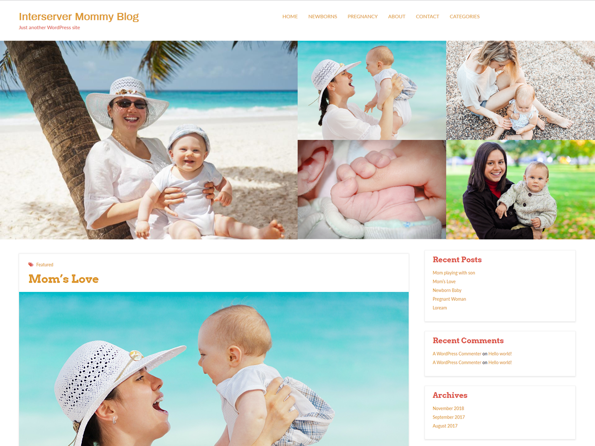 Interserver Mommy Preview Wordpress Theme - Rating, Reviews, Preview, Demo & Download