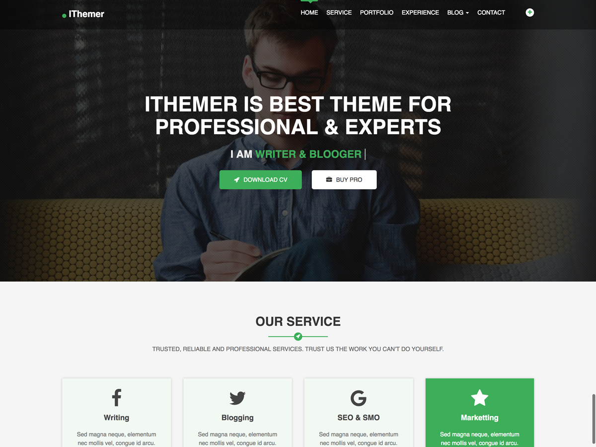 IThemer Preview Wordpress Theme - Rating, Reviews, Preview, Demo & Download