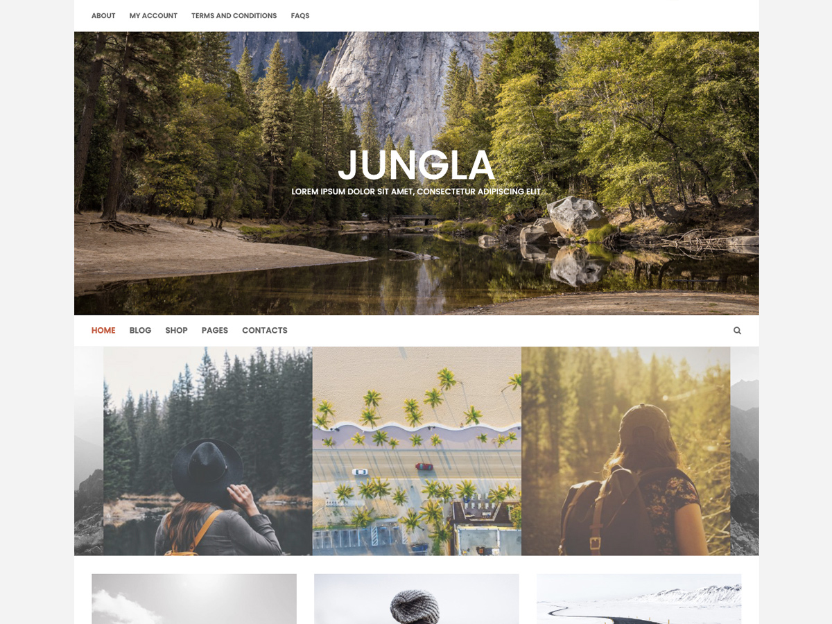 Jungla Preview Wordpress Theme - Rating, Reviews, Preview, Demo & Download