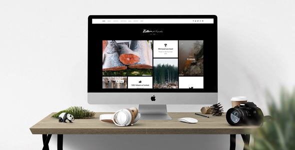 Killeen Preview Wordpress Theme - Rating, Reviews, Preview, Demo & Download