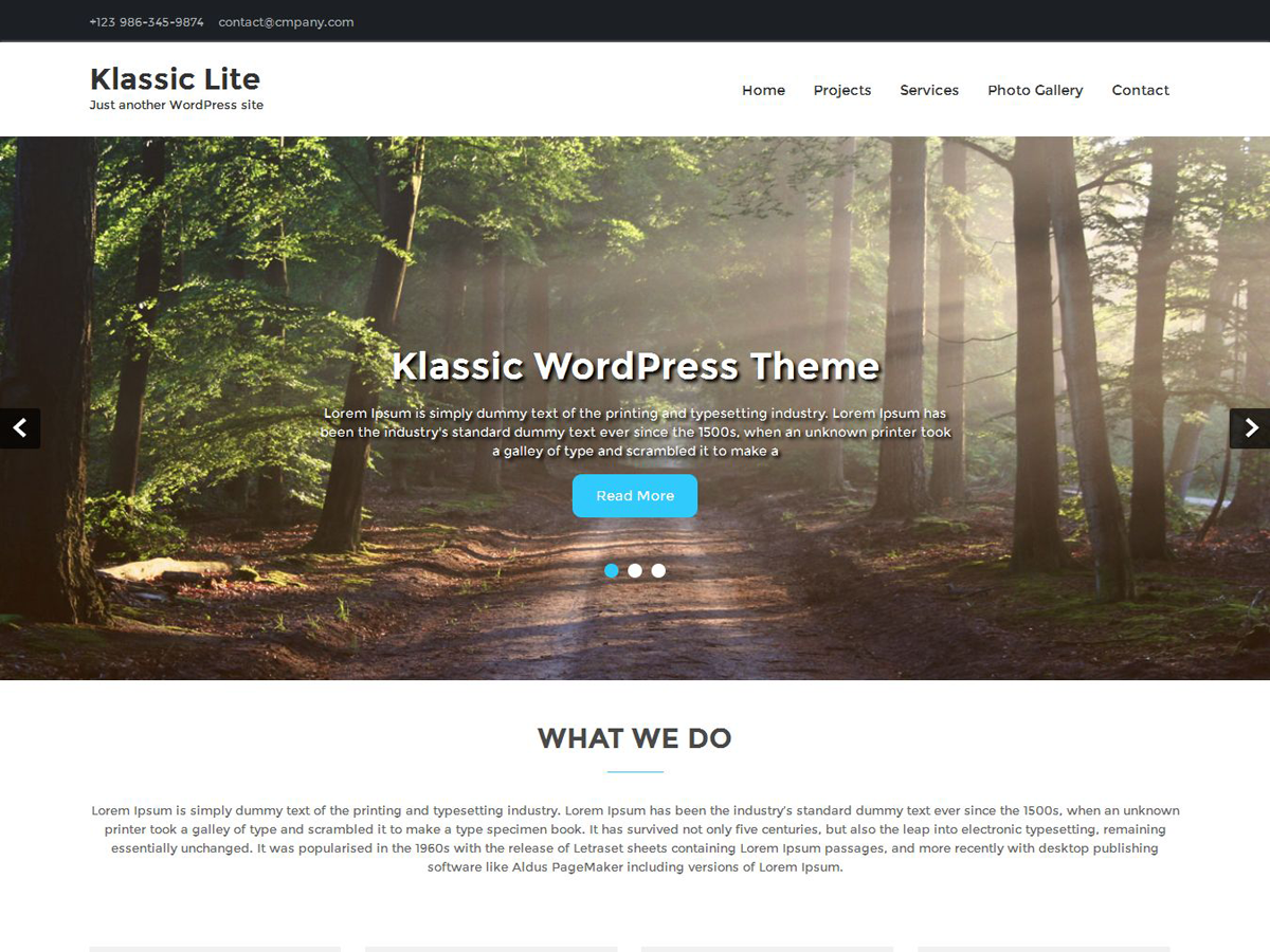 Klassic Lite Preview Wordpress Theme - Rating, Reviews, Preview, Demo & Download