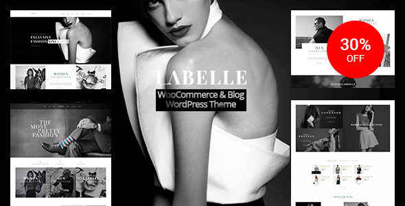 Labelle Preview Wordpress Theme - Rating, Reviews, Preview, Demo & Download