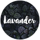Lavander
