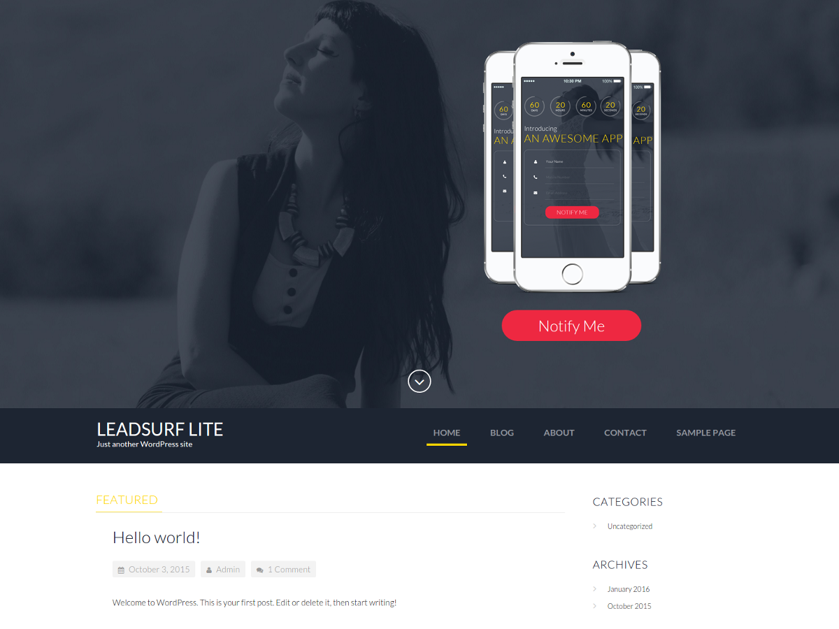LeadSurf Lite Preview Wordpress Theme - Rating, Reviews, Preview, Demo & Download