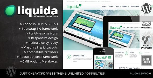 Liquida Preview Wordpress Theme - Rating, Reviews, Preview, Demo & Download