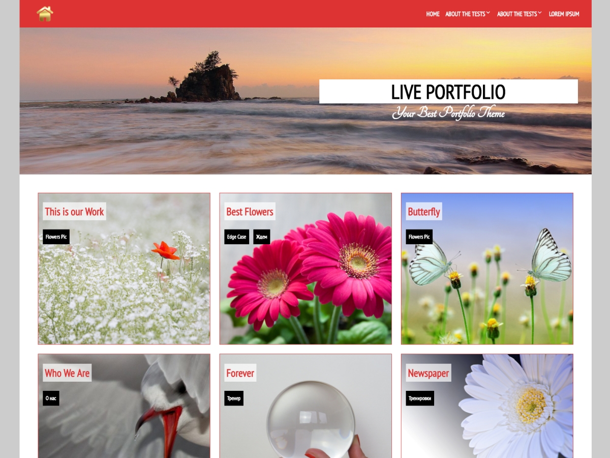 Live Portfolio Preview Wordpress Theme - Rating, Reviews, Preview, Demo & Download