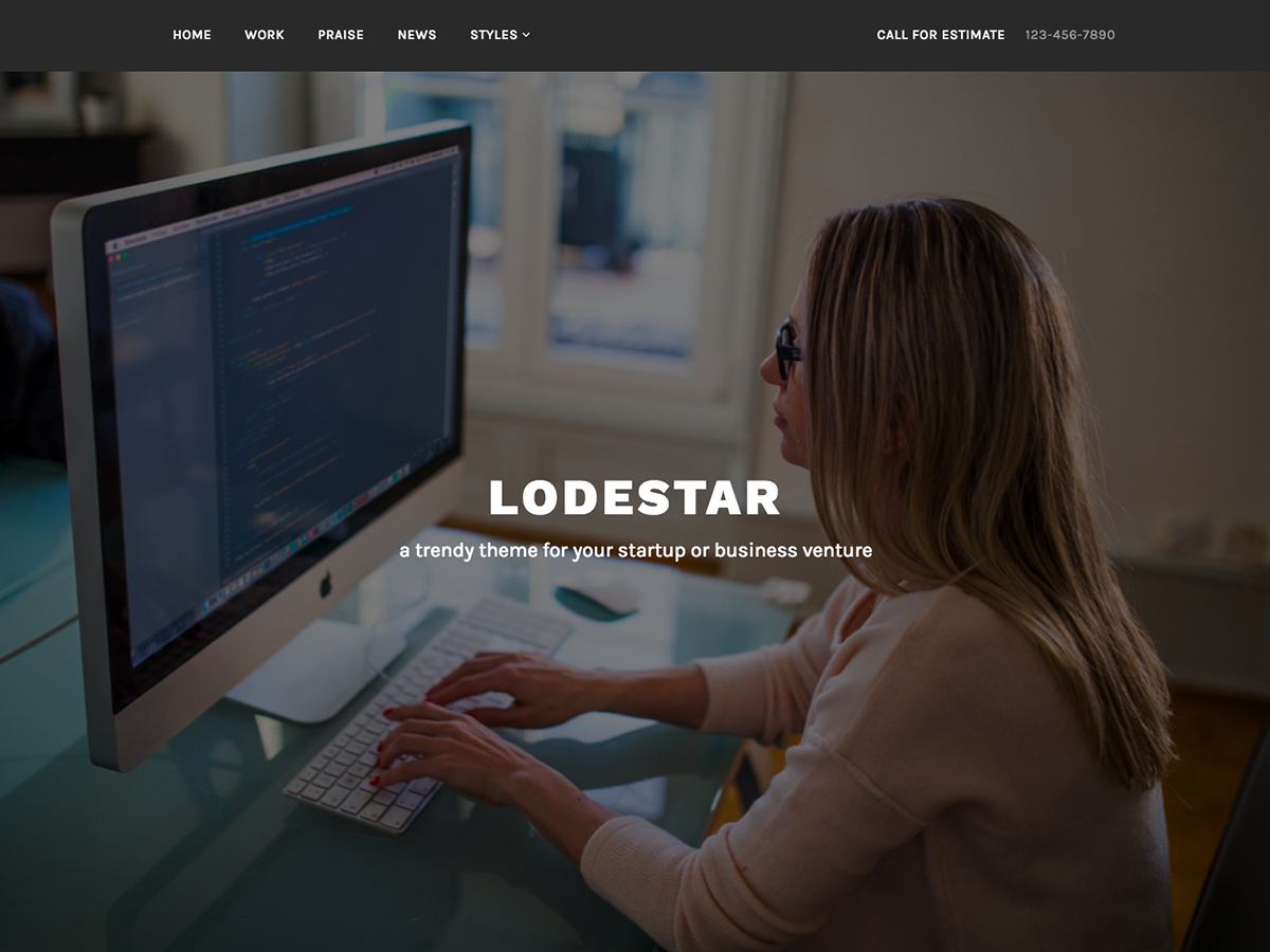 Lodestar Preview Wordpress Theme - Rating, Reviews, Preview, Demo & Download