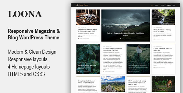 Loona Preview Wordpress Theme - Rating, Reviews, Preview, Demo & Download