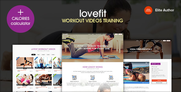 LOVEFIT Preview Wordpress Theme - Rating, Reviews, Preview, Demo & Download