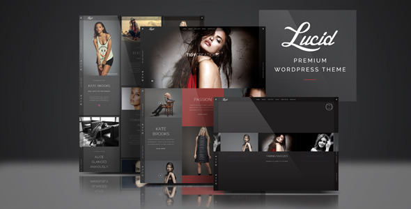 Lucid Preview Wordpress Theme - Rating, Reviews, Preview, Demo & Download