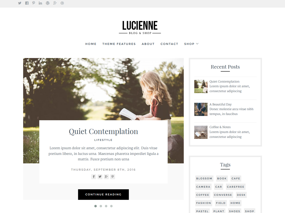Lucienne Preview Wordpress Theme - Rating, Reviews, Preview, Demo & Download