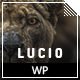 Lucio