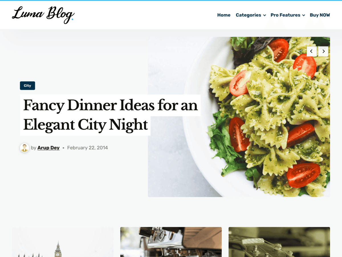 Luma Blog Preview Wordpress Theme - Rating, Reviews, Preview, Demo & Download