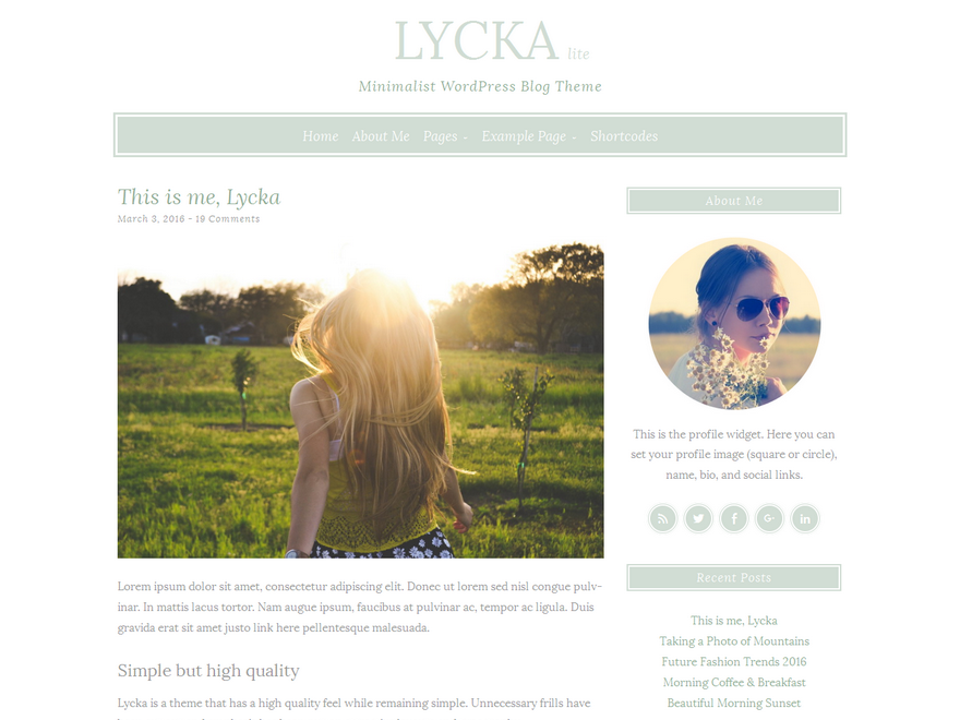 Lycka Lite Preview Wordpress Theme - Rating, Reviews, Preview, Demo & Download