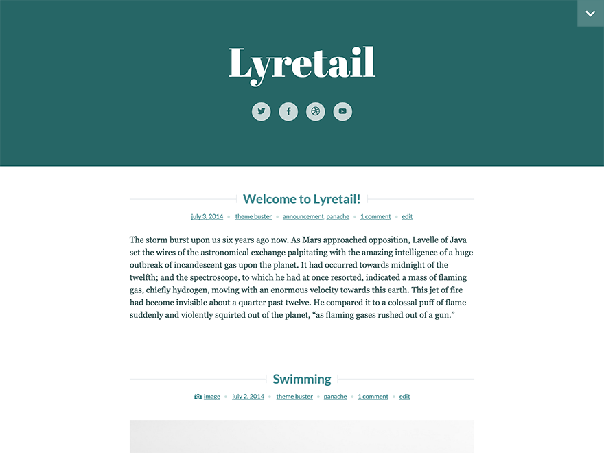 Lyretail Preview Wordpress Theme - Rating, Reviews, Preview, Demo & Download