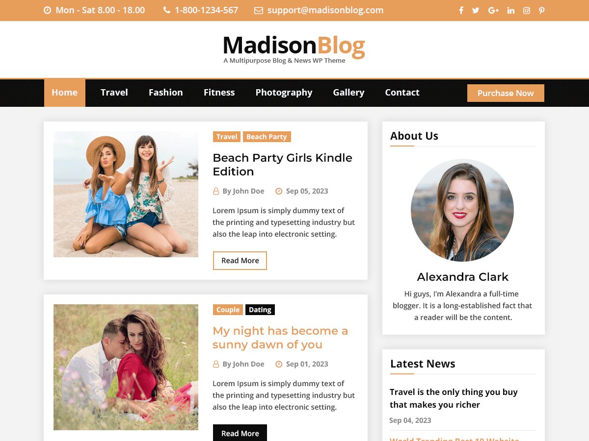 MadisonBlog Preview Wordpress Theme - Rating, Reviews, Preview, Demo & Download
