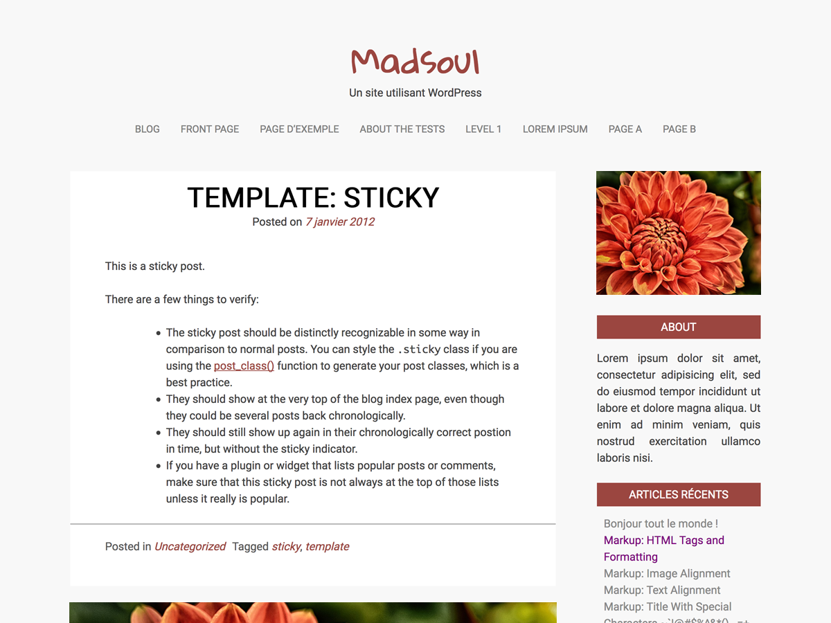Madsoul Preview Wordpress Theme - Rating, Reviews, Preview, Demo & Download