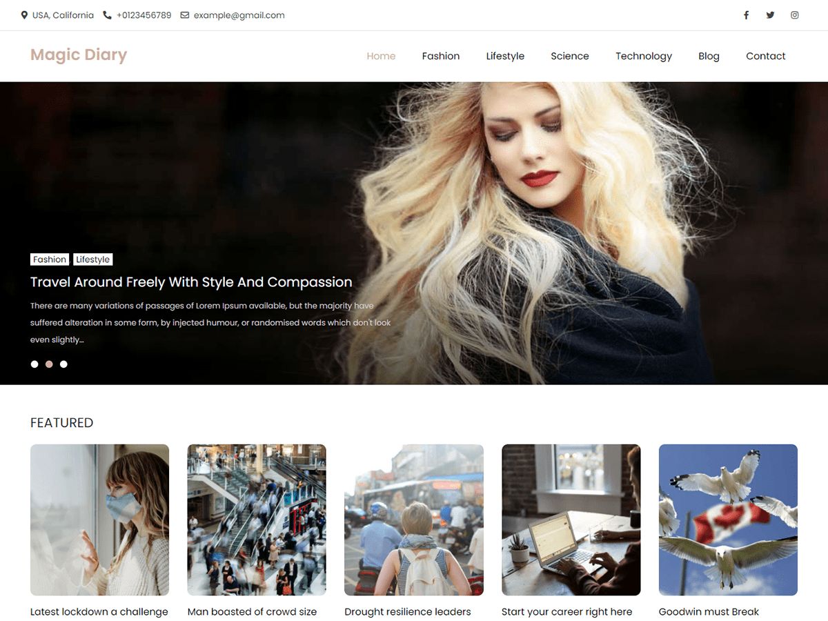 Magic Diary Preview Wordpress Theme - Rating, Reviews, Preview, Demo & Download