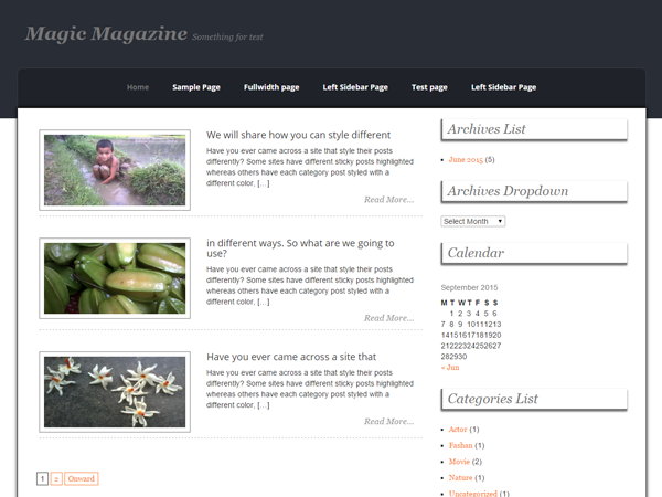 Magic Magazine Preview Wordpress Theme - Rating, Reviews, Preview, Demo & Download