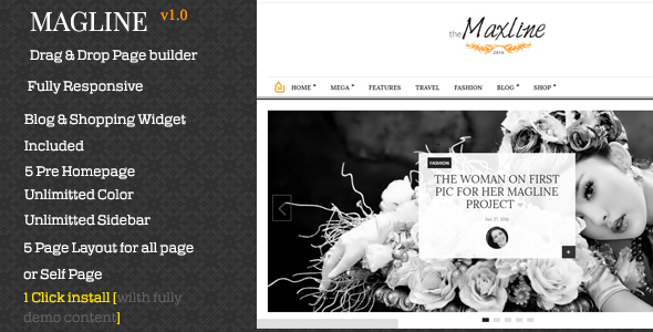Magline Preview Wordpress Theme - Rating, Reviews, Preview, Demo & Download
