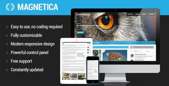 Magnetica Preview Wordpress Theme - Rating, Reviews, Preview, Demo & Download