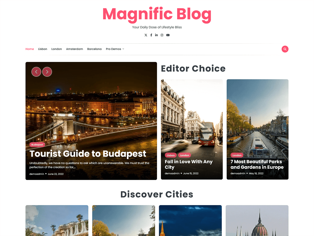 Magnific Blog Preview Wordpress Theme - Rating, Reviews, Preview, Demo & Download