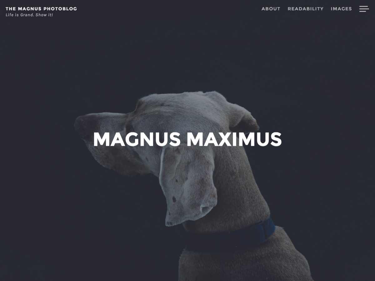 Magnus Preview Wordpress Theme - Rating, Reviews, Preview, Demo & Download
