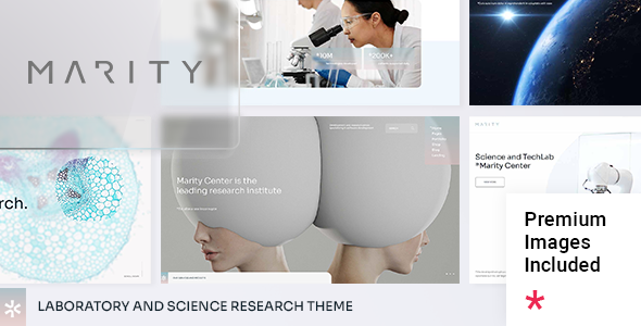 Marity Preview Wordpress Theme - Rating, Reviews, Preview, Demo & Download