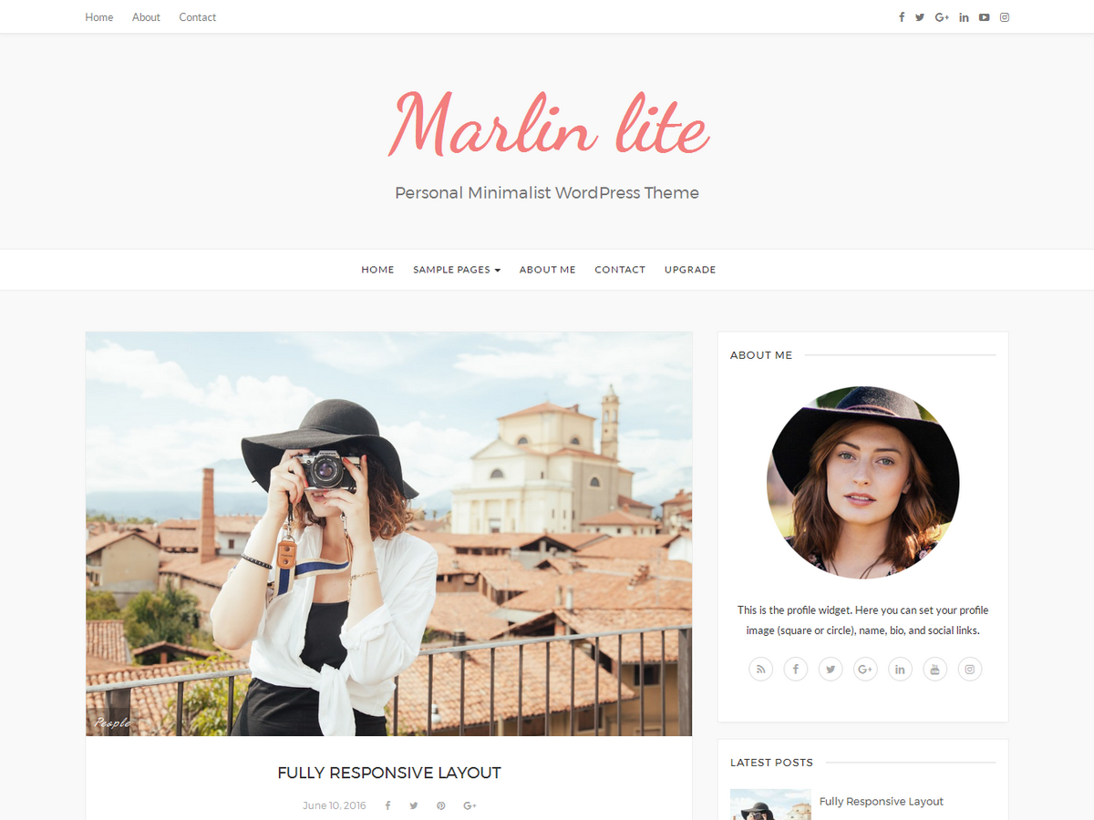 Marlin Lite Preview Wordpress Theme - Rating, Reviews, Preview, Demo & Download