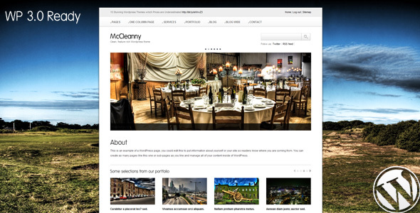 McCleanny Preview Wordpress Theme - Rating, Reviews, Preview, Demo & Download