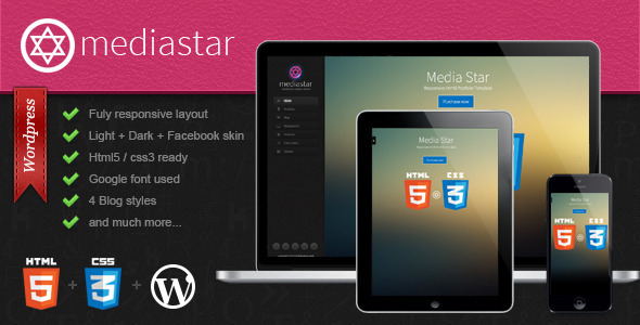 Mediastar Preview Wordpress Theme - Rating, Reviews, Preview, Demo & Download