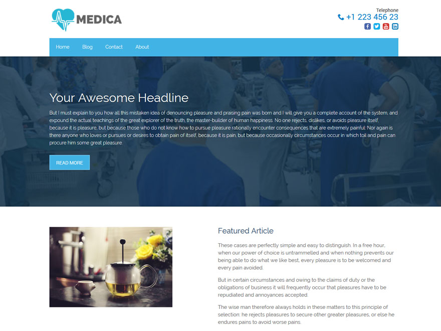 Medica Lite Preview Wordpress Theme - Rating, Reviews, Preview, Demo & Download