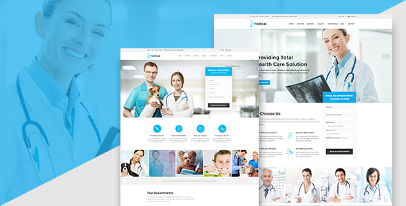 Medicool Preview Wordpress Theme - Rating, Reviews, Preview, Demo & Download