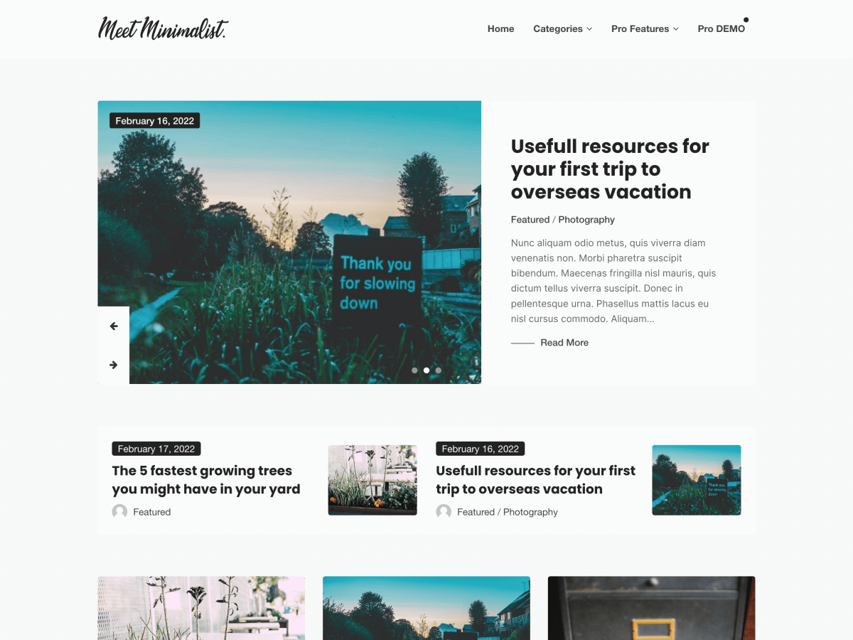 Meet Minimalist Preview Wordpress Theme - Rating, Reviews, Preview, Demo & Download