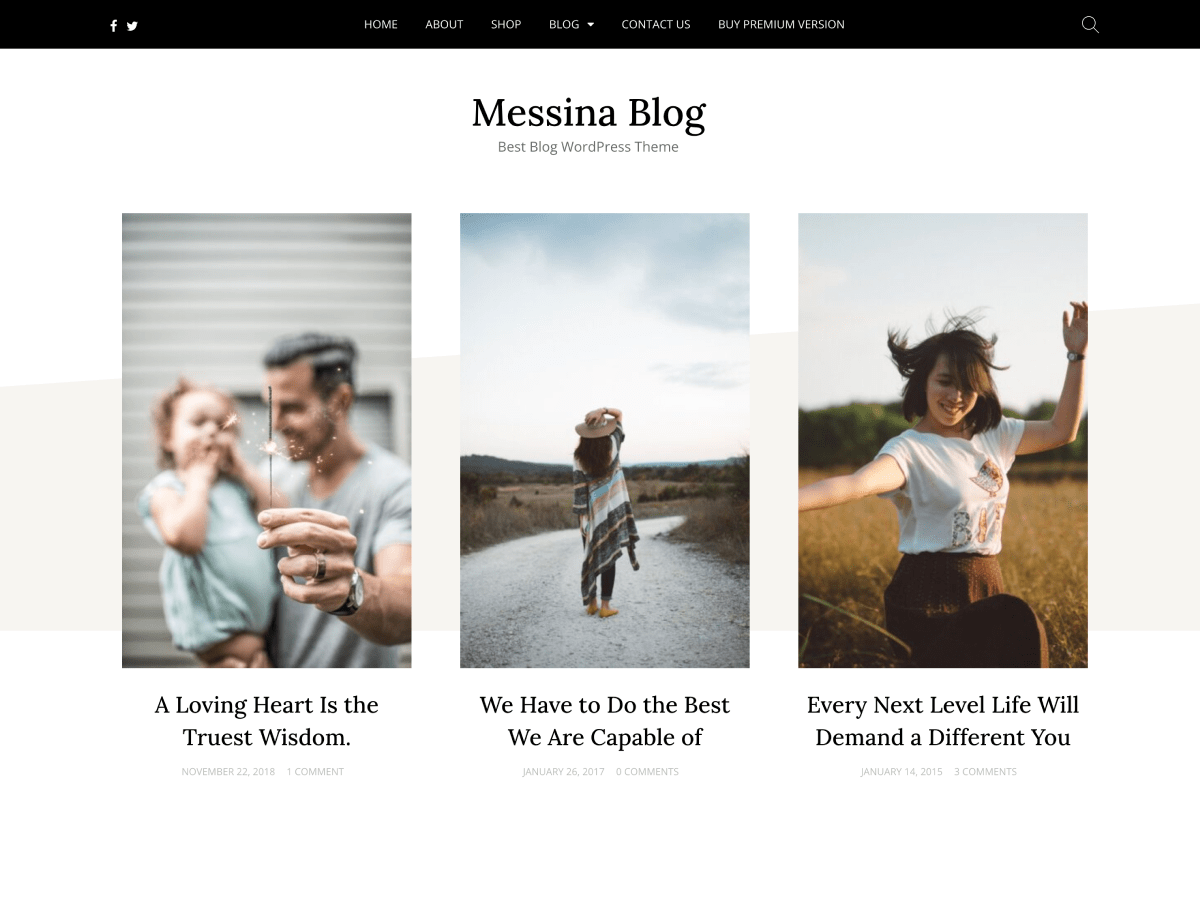 Messina Blog Preview Wordpress Theme - Rating, Reviews, Preview, Demo & Download