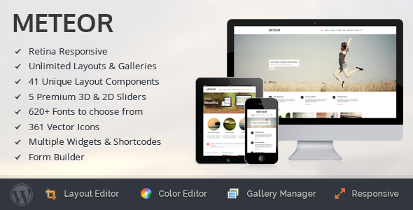 Meteor Preview Wordpress Theme - Rating, Reviews, Preview, Demo & Download