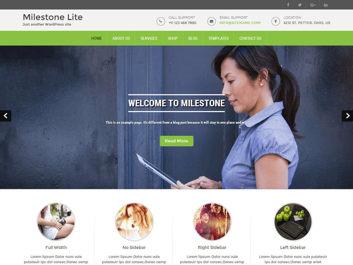 Milestone Lite Preview Wordpress Theme - Rating, Reviews, Preview, Demo & Download