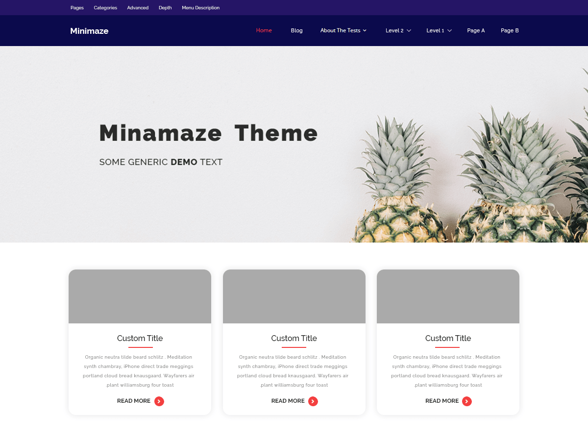 Minamaze News Preview Wordpress Theme - Rating, Reviews, Preview, Demo & Download