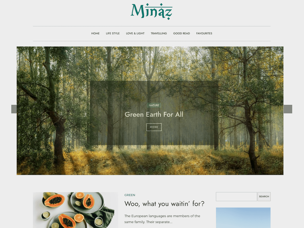 Minaz Preview Wordpress Theme - Rating, Reviews, Preview, Demo & Download