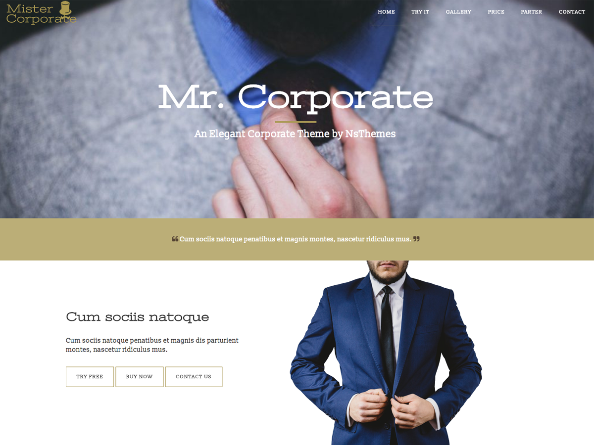 Mistercorporate Preview Wordpress Theme - Rating, Reviews, Preview, Demo & Download