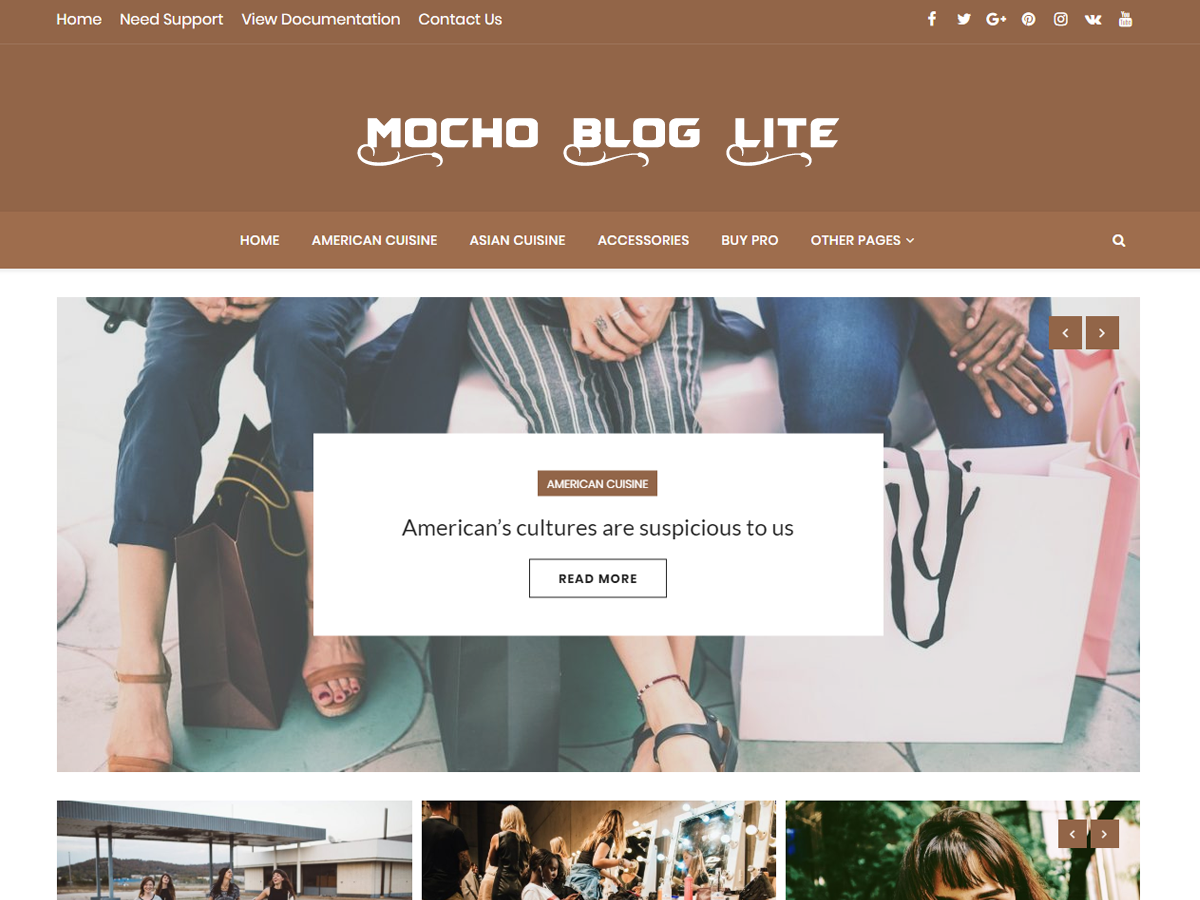 Mocho Lite Preview Wordpress Theme - Rating, Reviews, Preview, Demo & Download