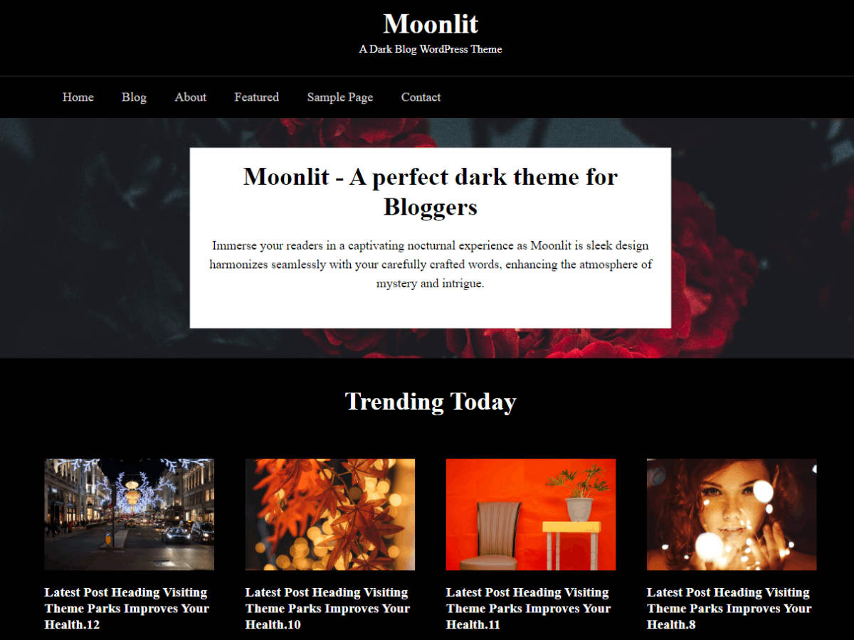 Moonlit Dark Preview Wordpress Theme - Rating, Reviews, Preview, Demo & Download