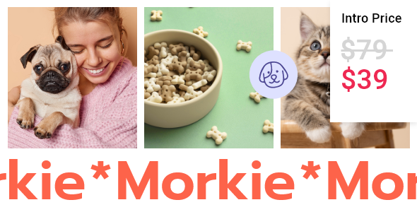 Morkie Preview Wordpress Theme - Rating, Reviews, Preview, Demo & Download