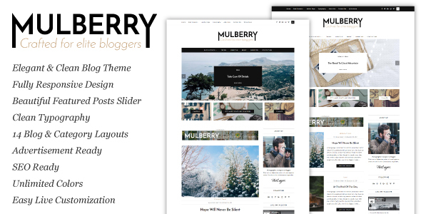 Mulberry Preview Wordpress Theme - Rating, Reviews, Preview, Demo & Download
