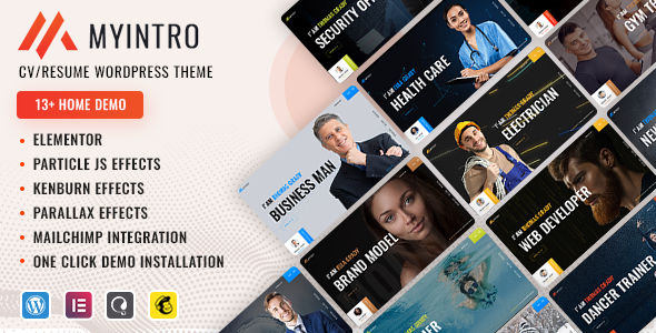 MyIntro Preview Wordpress Theme - Rating, Reviews, Preview, Demo & Download