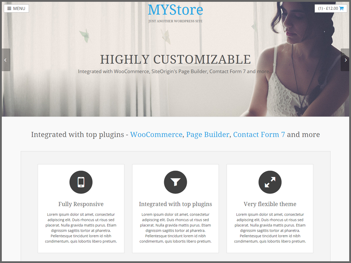 MyStore Preview Wordpress Theme - Rating, Reviews, Preview, Demo & Download