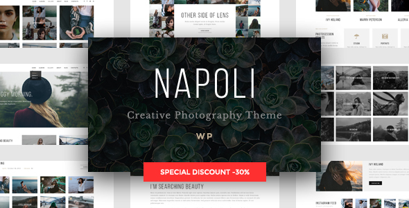 Napoli Preview Wordpress Theme - Rating, Reviews, Preview, Demo & Download