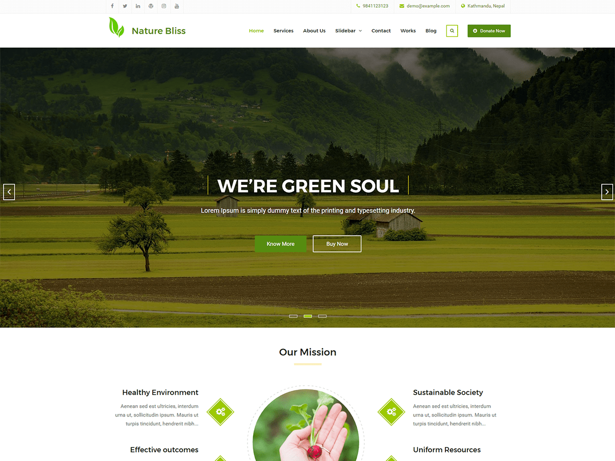 Nature Bliss Preview Wordpress Theme - Rating, Reviews, Preview, Demo & Download